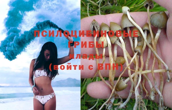 a pvp Алексин